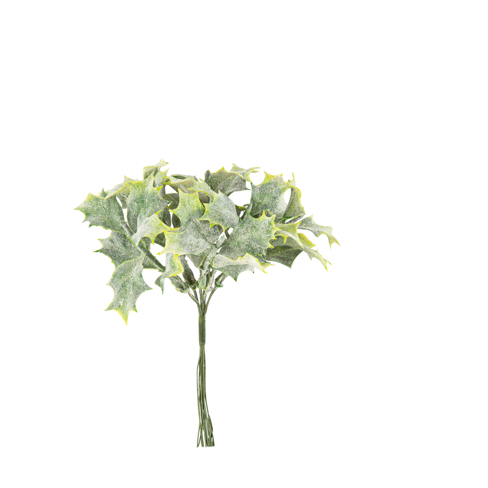 6 branches de houx vert