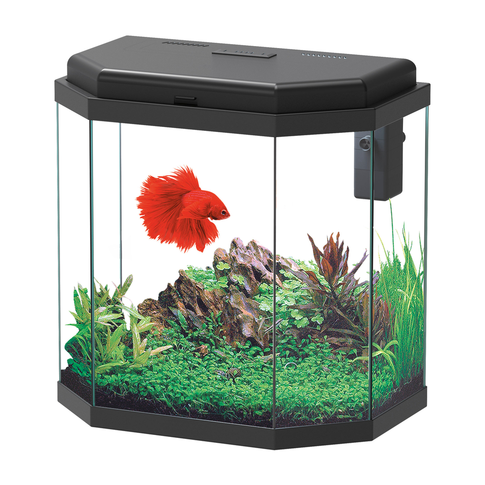 Aquarium AURIA LED équipé noir 42 litres - L.40,1xP.25xH.41,5cm