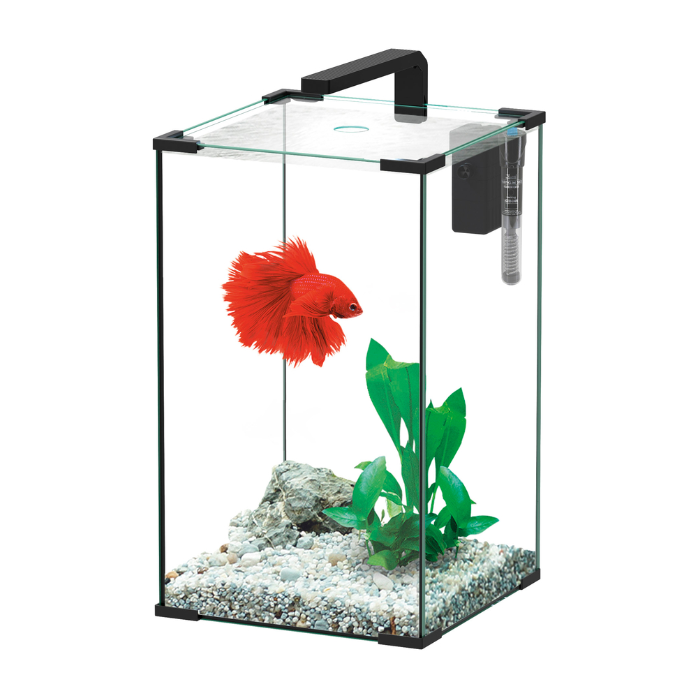 Aquarium ALYA LED équipé noir 45 litres - L.30,5xP.30,5xH.50.4cm