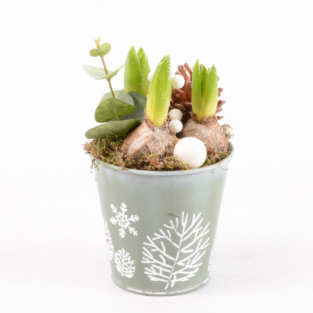 Jacinthe X3 Moderne Déco D12 H25cm