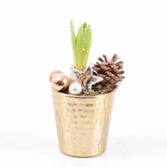 Jacinthe X1 Nature Déco D11 H20cm