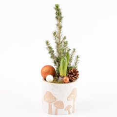 Jacinthe X1 avec Picea Nature Déco D14cm