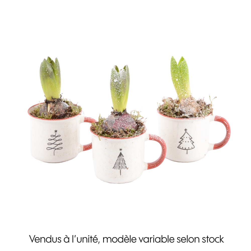 Jacinthe X1 Mug café D10 H18cm