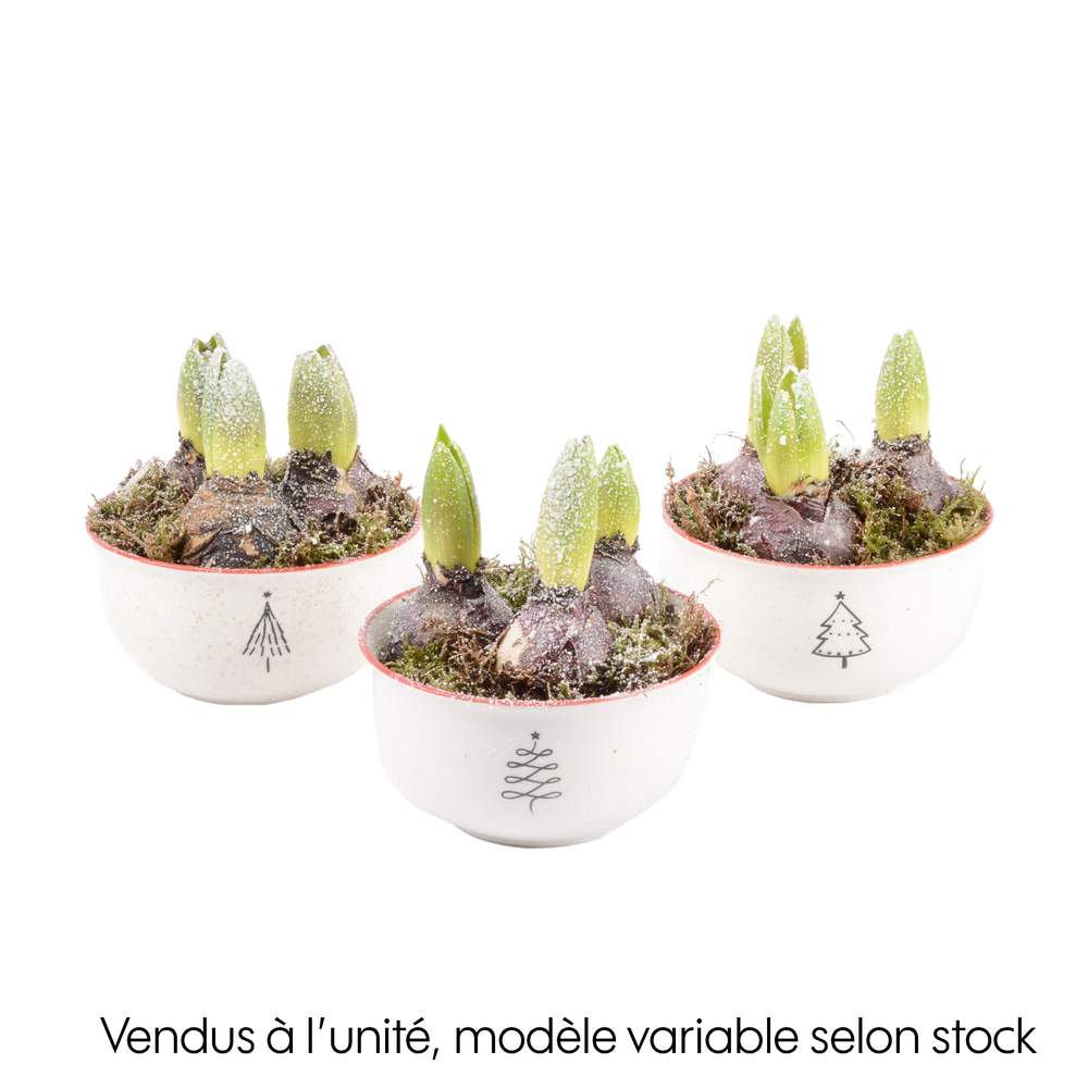 Jacinthe X3 Mug soupe D12 H21cm