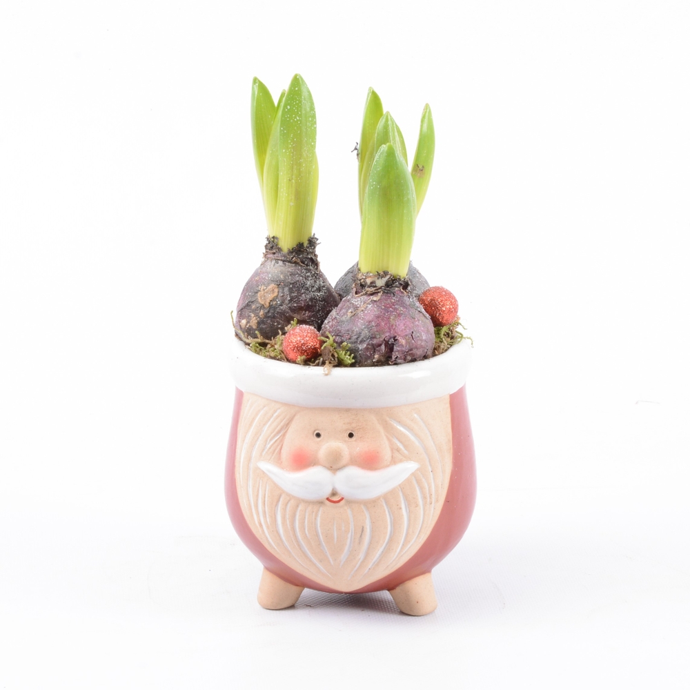 Jacinthe X3 Mug Bonhomme Déco D14 H25cm