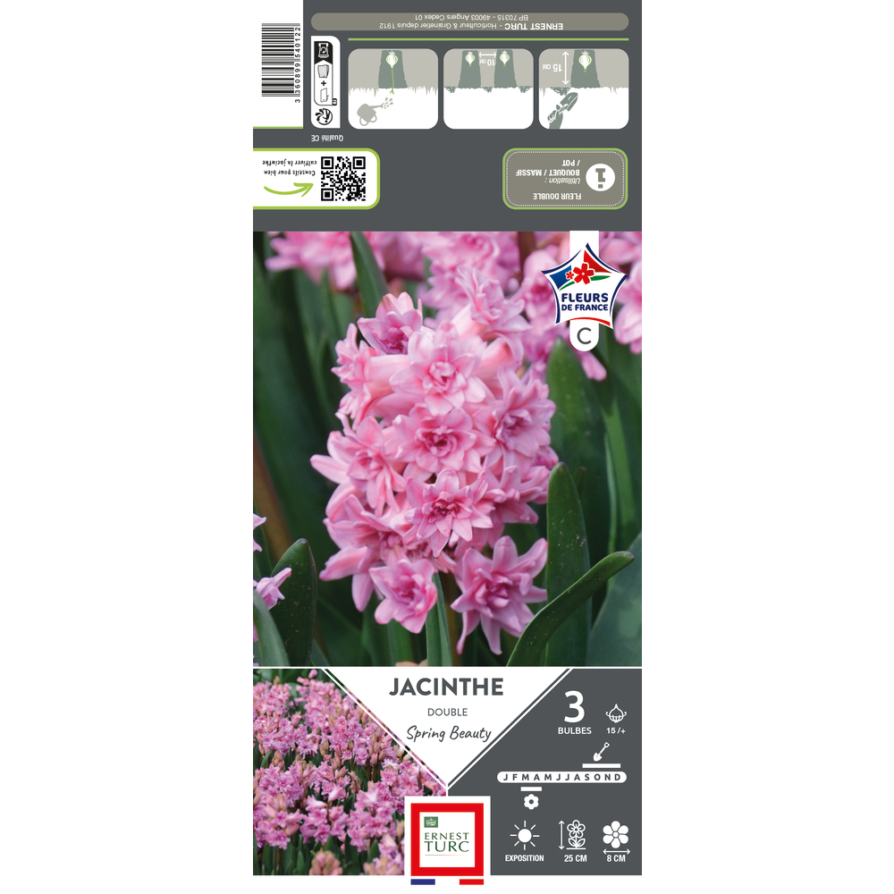 Bulbes de jacinthe 'Spring beauty' calibre 15+ : x3
