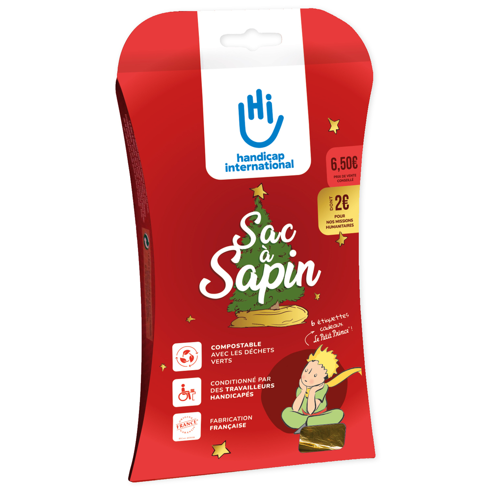 Sac à sapin brillant coloris Or + 6 étiquettes cadeaux