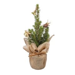 Picéa Glauca "Conica" : sac jute rond D.9cm