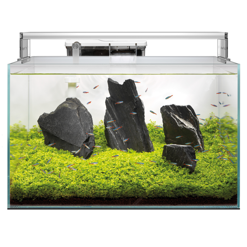Aquarium Scaper 70, éclairage LED - L.60xP.40xH.28cm