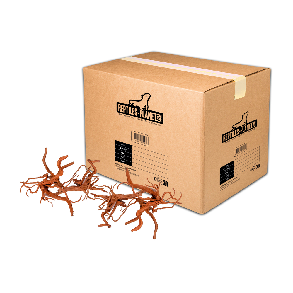 Racine araignée pour aquarium - Taille S