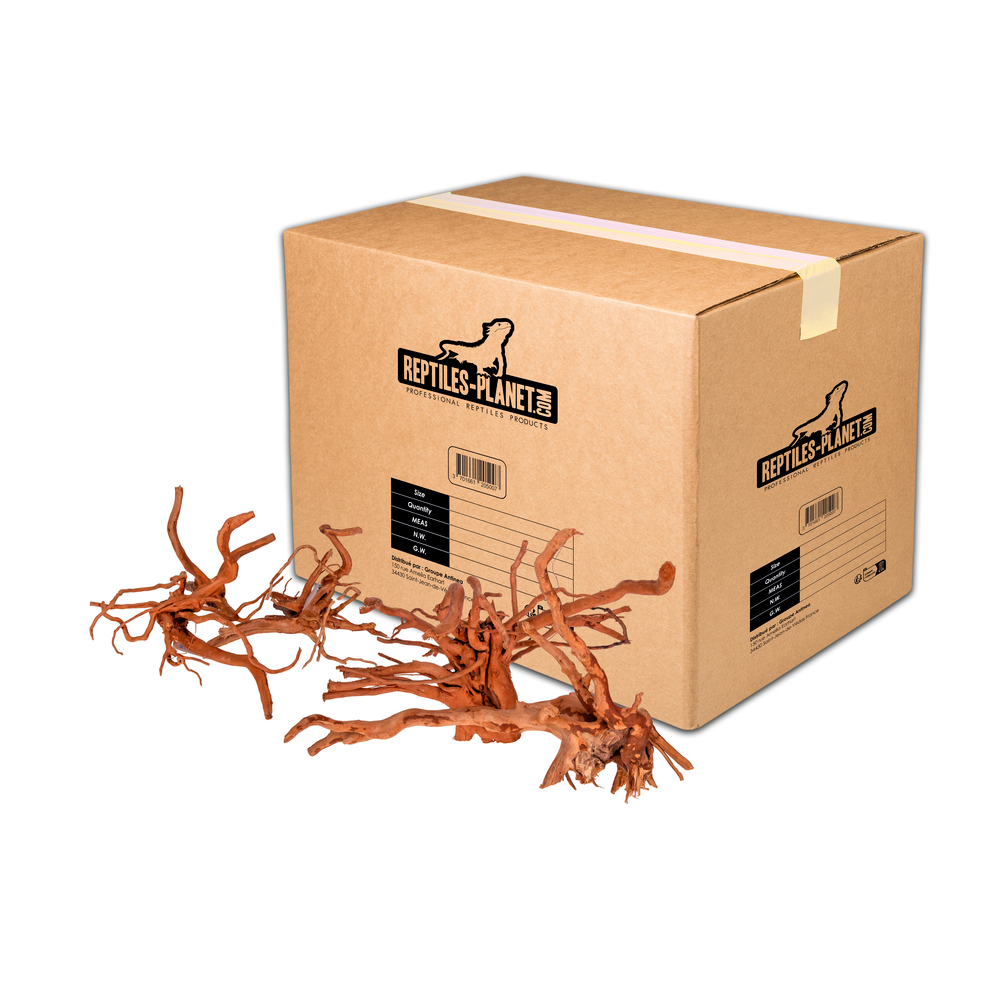 Racine araignée pour aquarium - Taille M