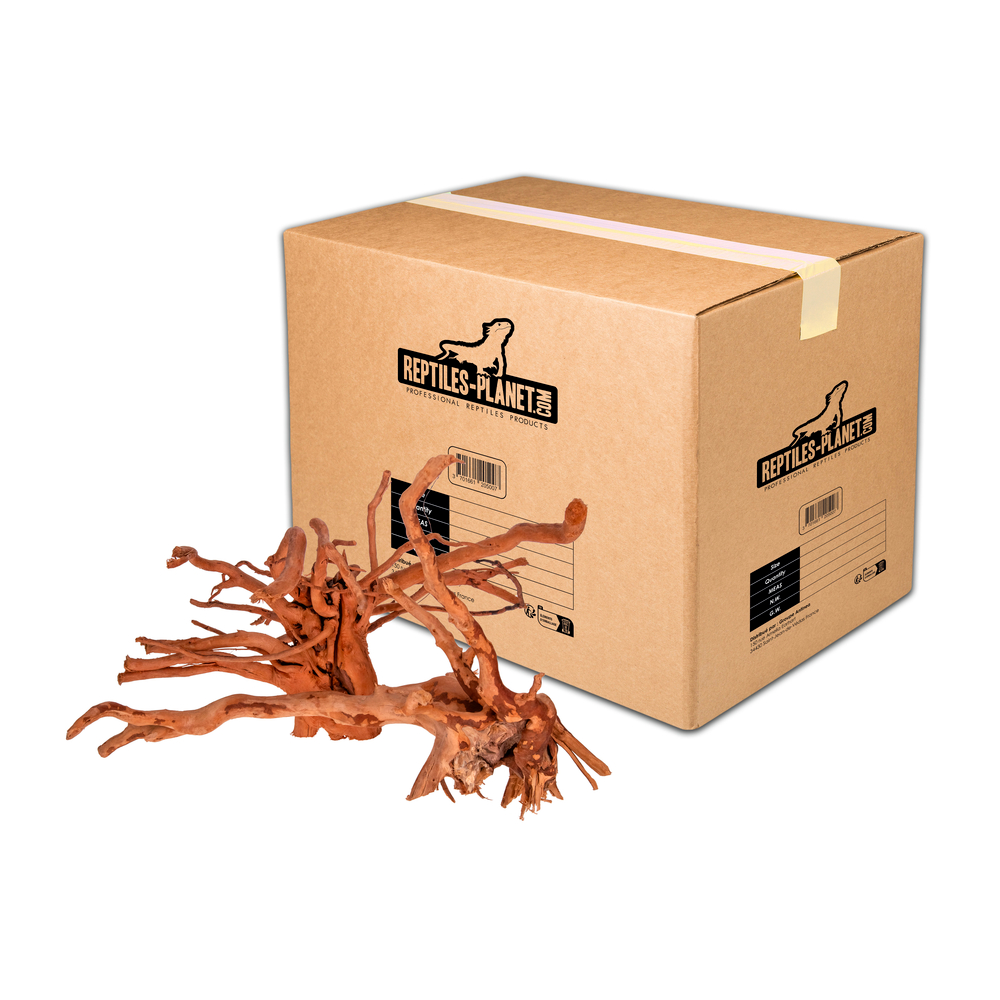 Racine araignée pour aquarium - Taille L