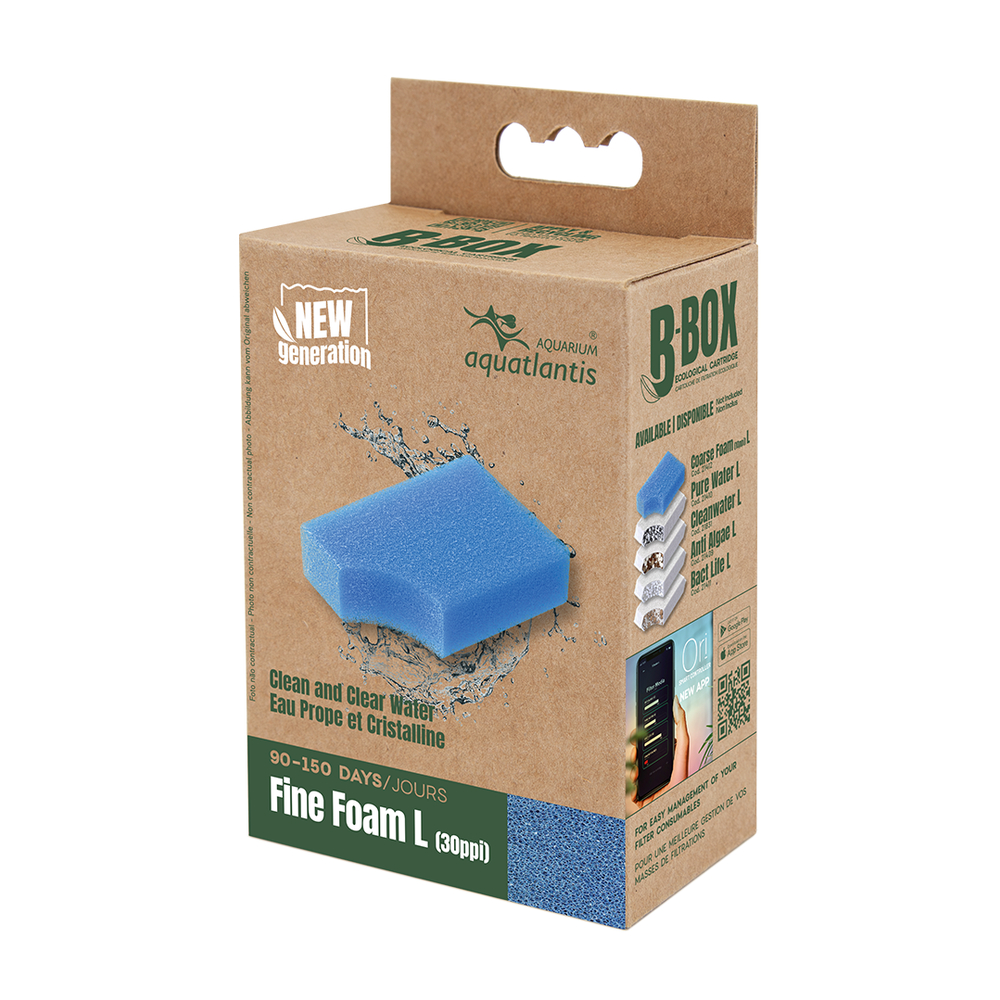 Masse de filtration pour aquarium B-Box fine foam, taille L