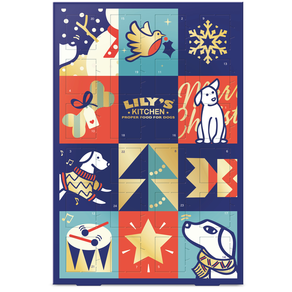 Calendrier de l’Avent pour chien 100 g