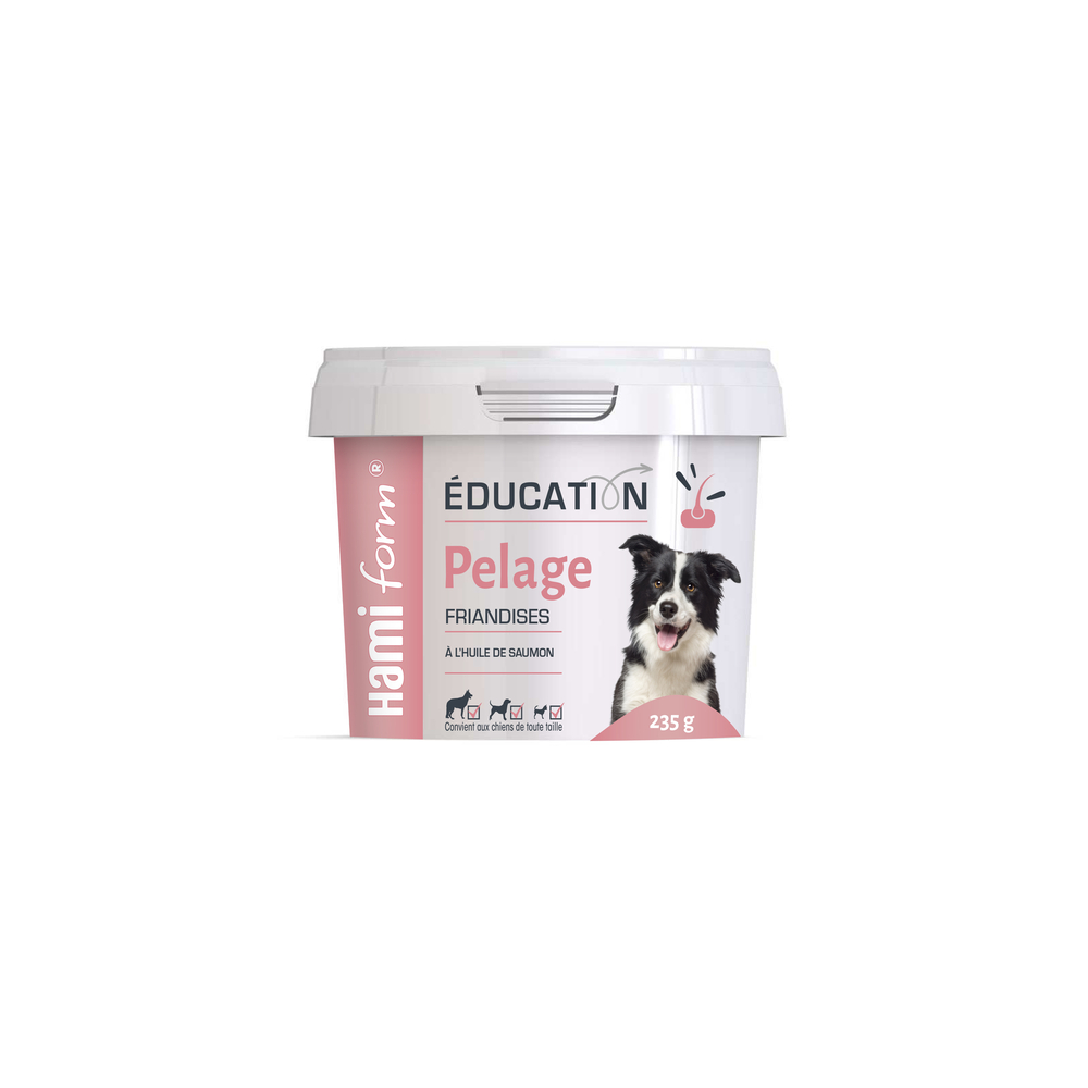 Friandises pour chien : Éducation Pelage, à l'huile de saumon - 235g