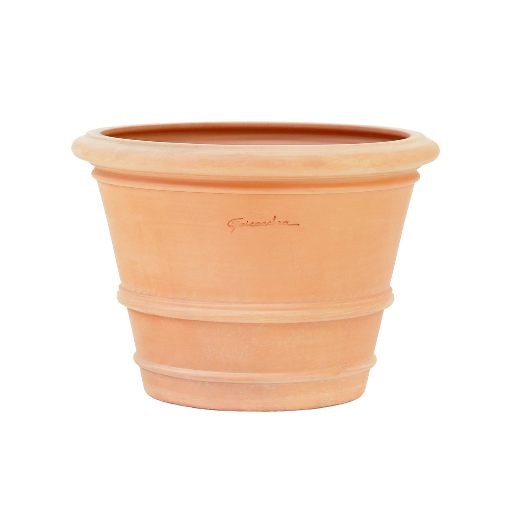 Cuvier argi D.72xH.52cm