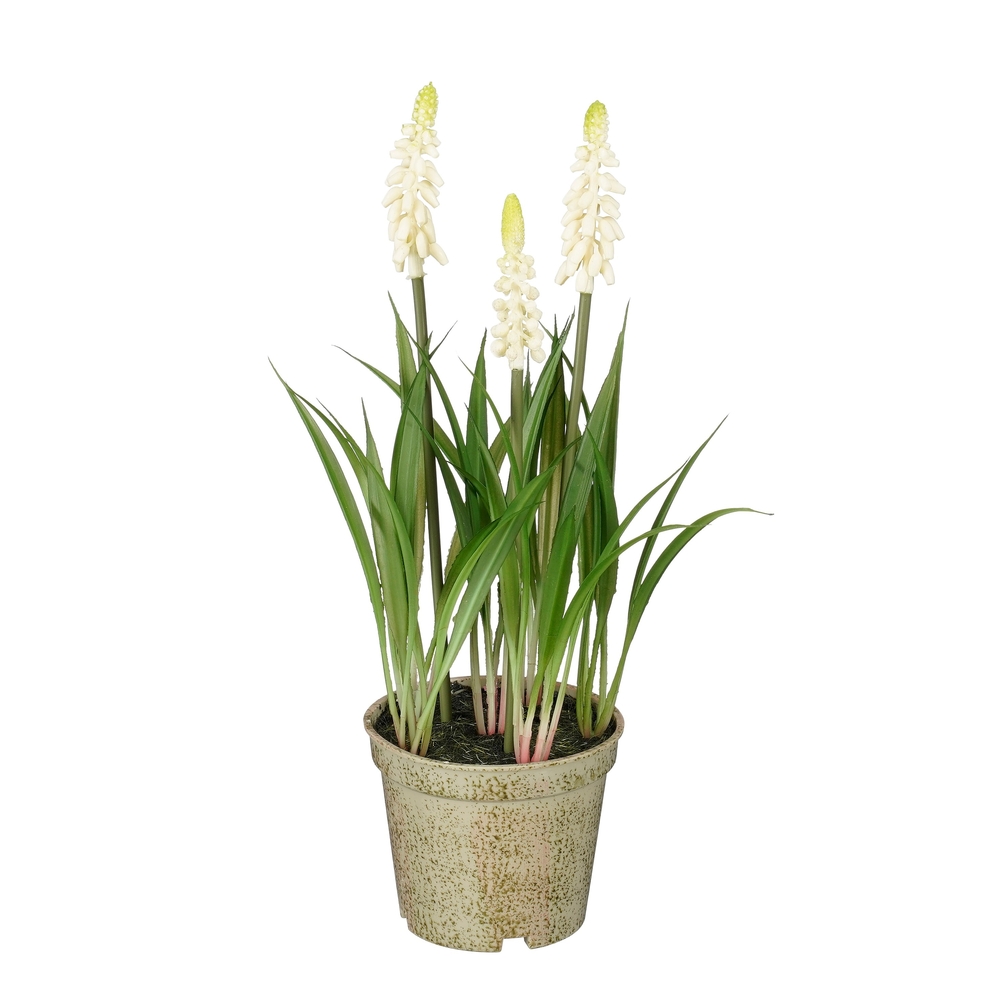 Plante artificielle muscari, coloris crème - H.26xD.13cm