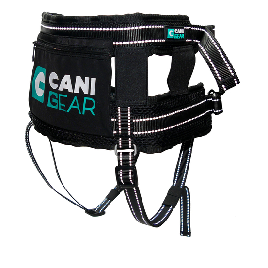 Baudrier pour chien, Olympia noir