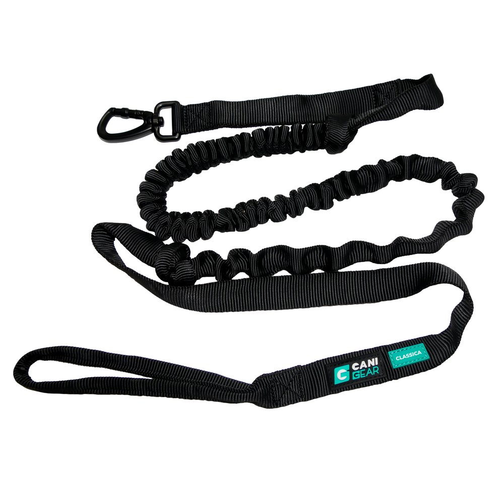 Longe de traction pour chien, Classica 1.9m noir
