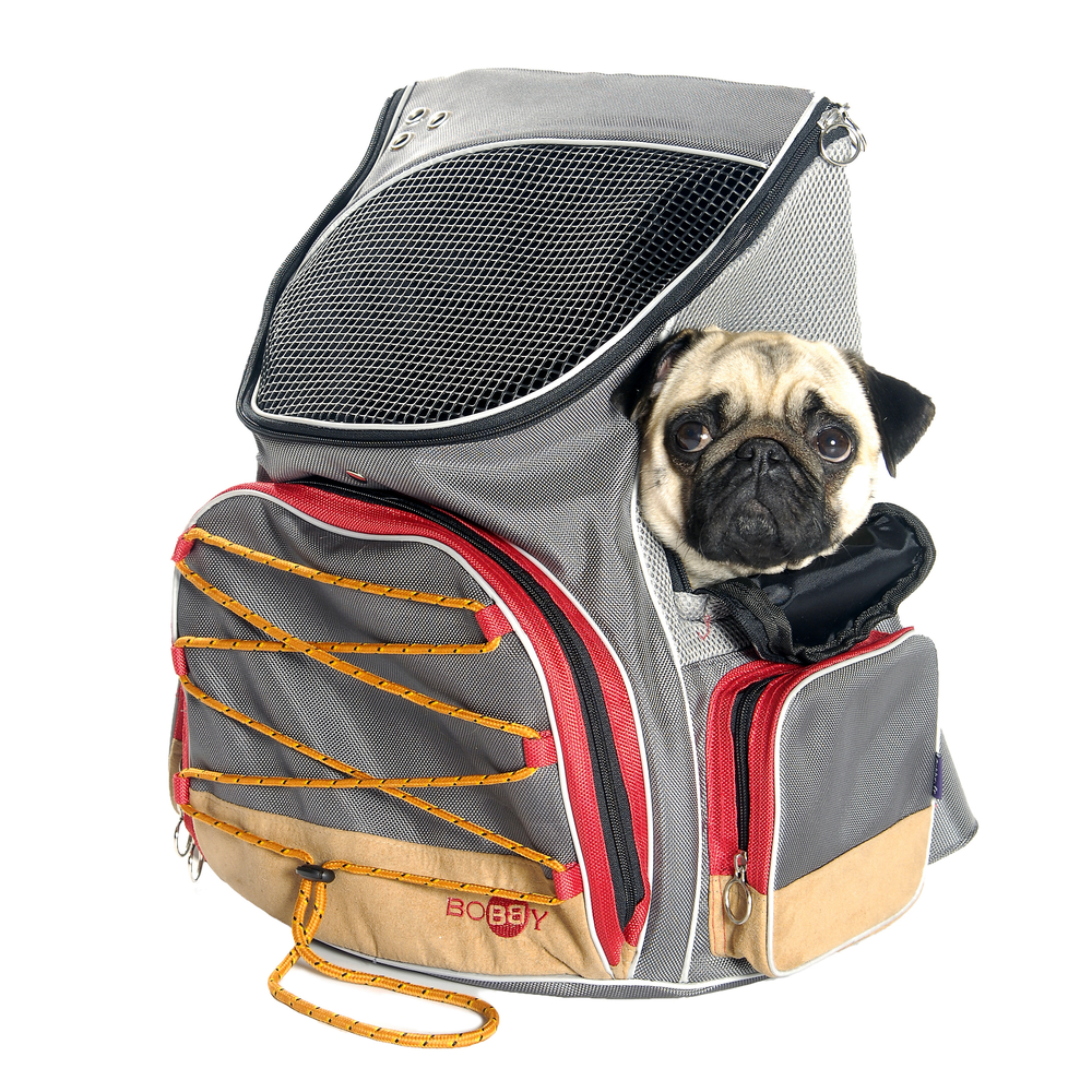 Sac à dos pour chien, Dune gris 33x26x45cm