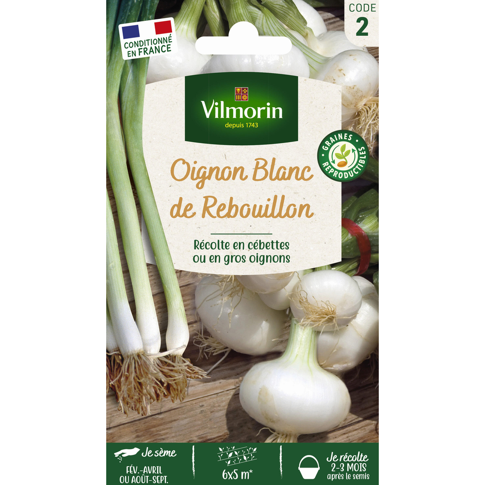 Graines, oignon blanc de Rebouillon