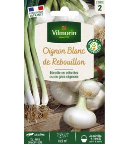Graines, oignon blanc de Rebouillon