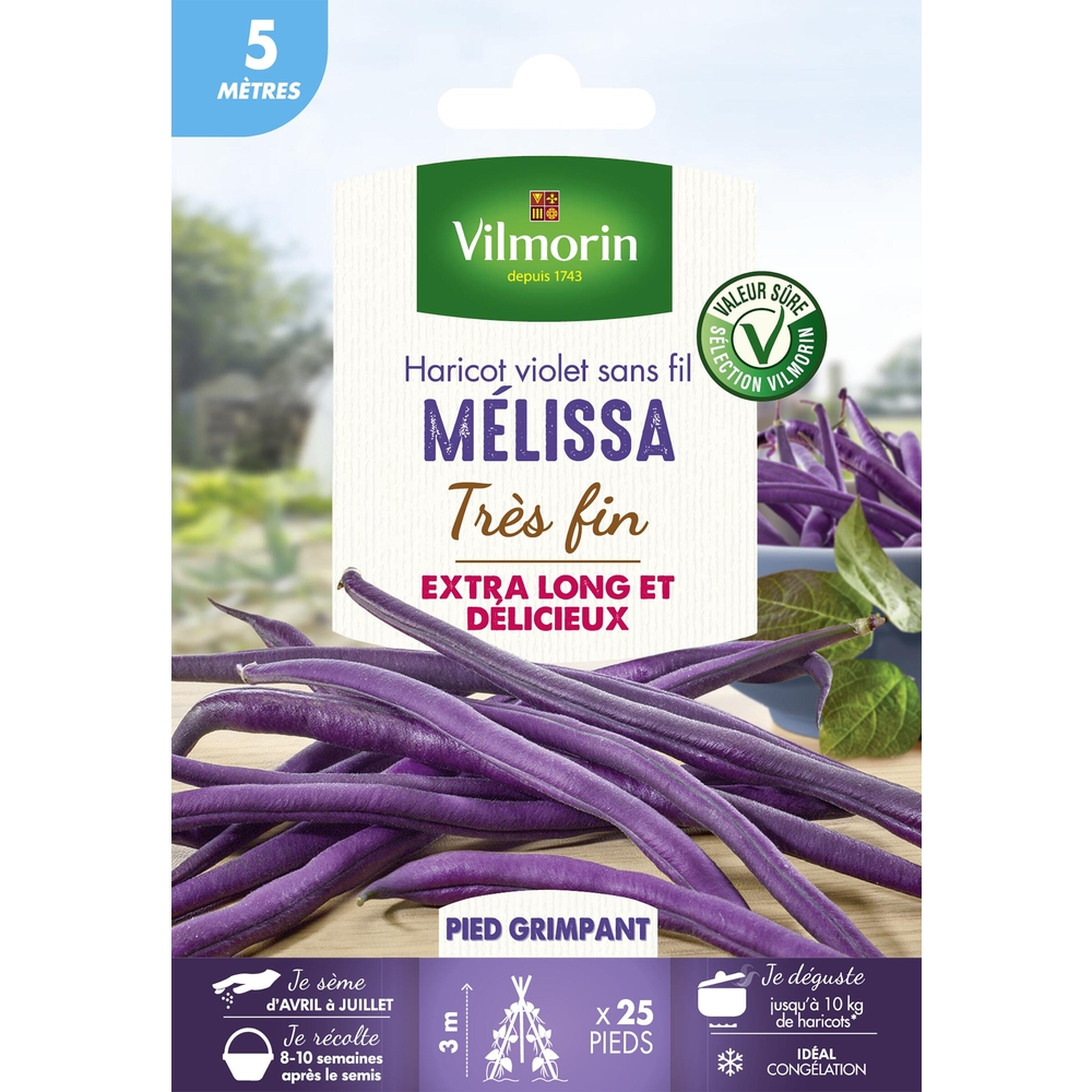 Haricot Mélissa, violet sans fil - 5m