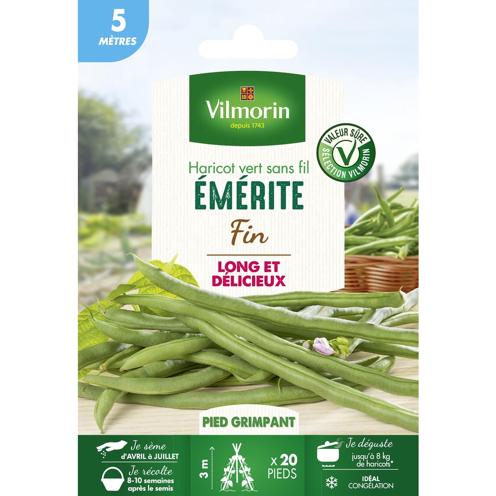 Haricot Emerite, vert sans fil- 5m