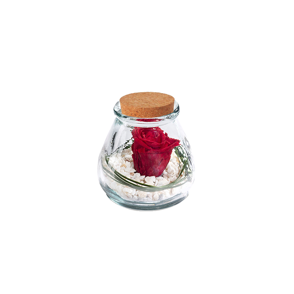 Verrine Samy en verre, rose rouge stabilisée - taille S