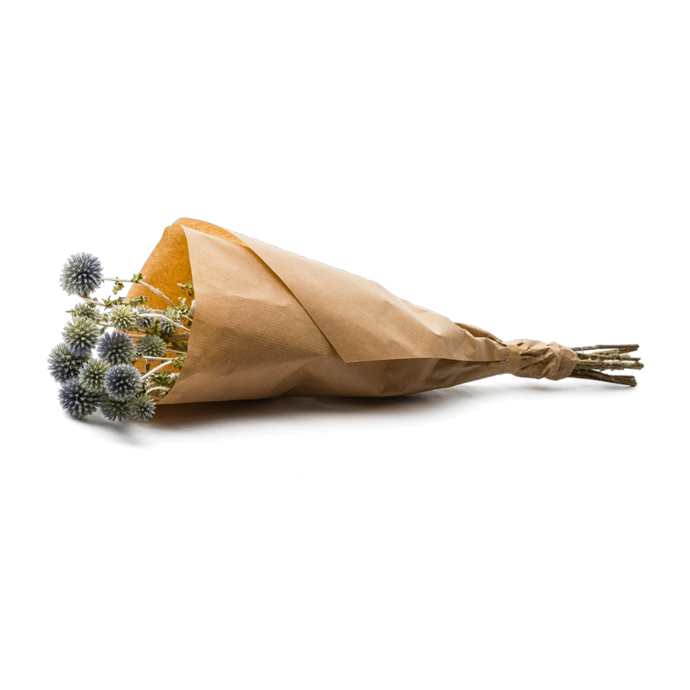 Botte de fleurs séchées : Echinops bleu - H.50cm