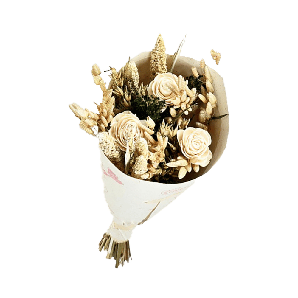 Bouquet de fleurs séchées : Sola crème - taille S