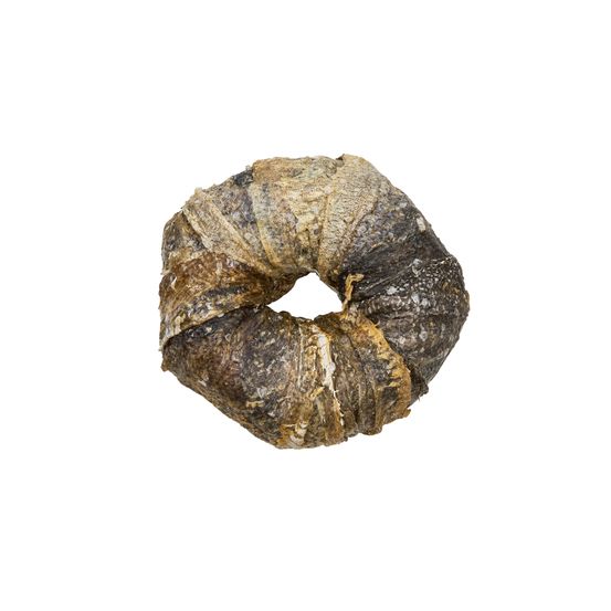 Friandise pour chien, donut avec peau de poisson, Ø 7-9cm