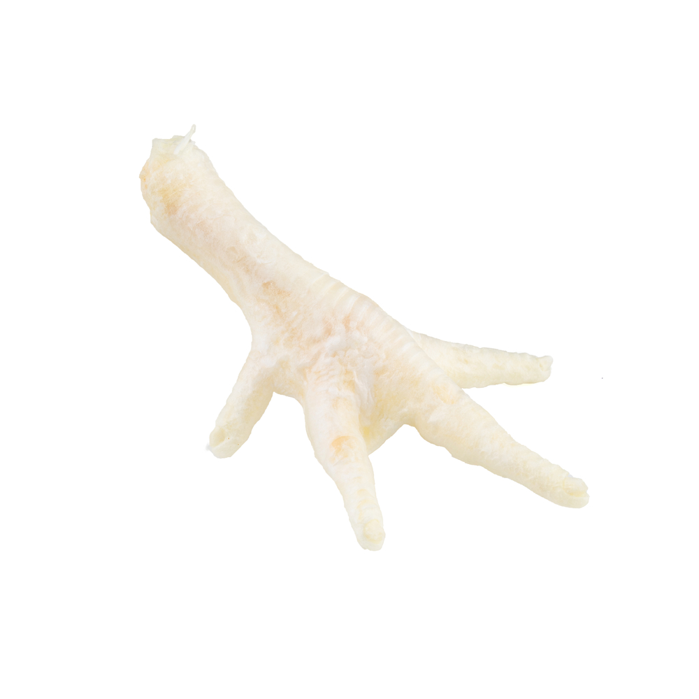 Friandise pour chien, patte de poulet blanchie