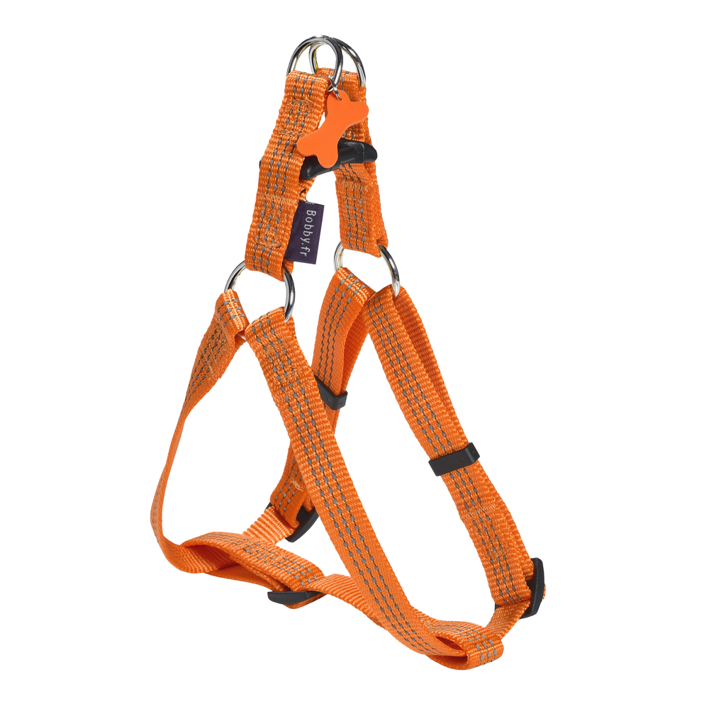 Harnais baudrier pour chien 'Safe', coloris orange - taille M