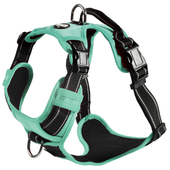 Harnais pour chien, Rando Walk, coloris lagon - taille M