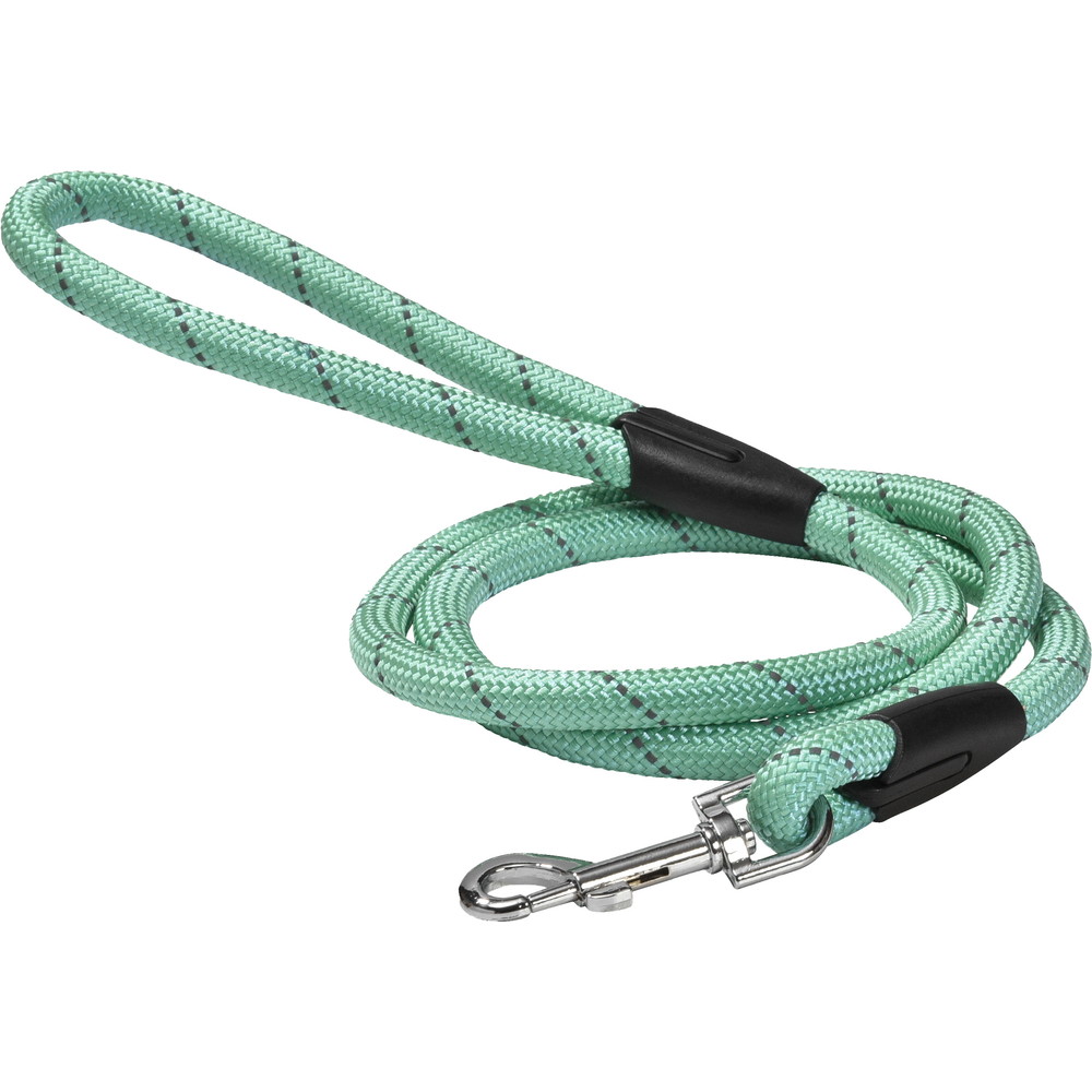 Laisse pour chien 'Walk', coloris lagon - L.124cm