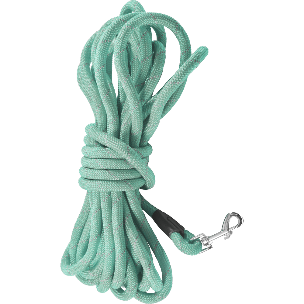 Longe Walk pour chien, coloris lagon - 5m