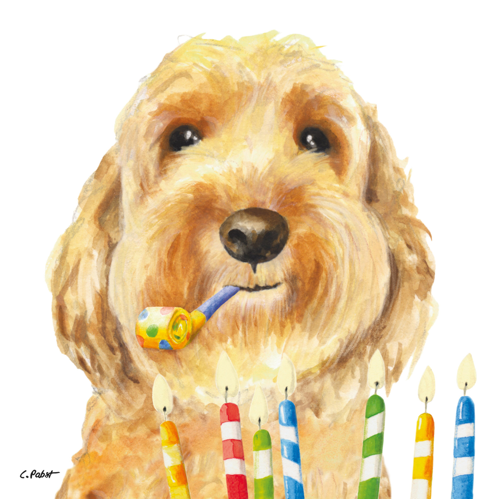 Lot de 20 serviettes papier FSC 'Happy bday dog' - L.33xl.33cm