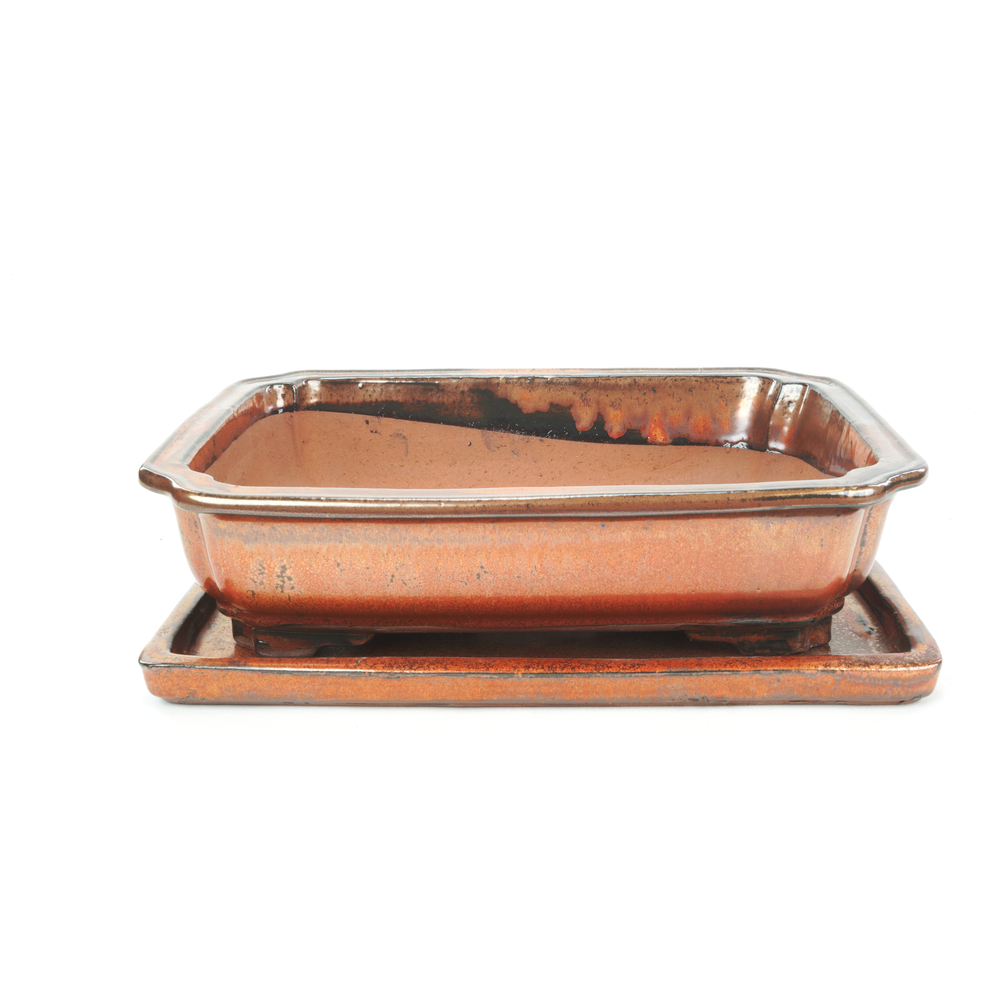 Pot Basic de bonsaï avec plateau en céramique, coloris rouille - 35cm