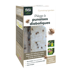 Cymatrap - piège à punaises diaboliques avec recharges (8 semaines d'attractivit
