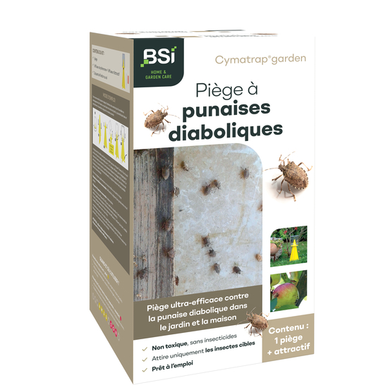 Cymatrap - piège à punaises diaboliques avec recharges (8 semaines d'attractivit