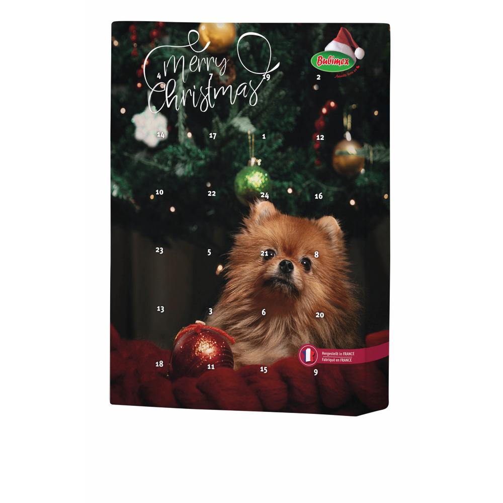 Friandise pour chien : calendrier de Noël - 70g