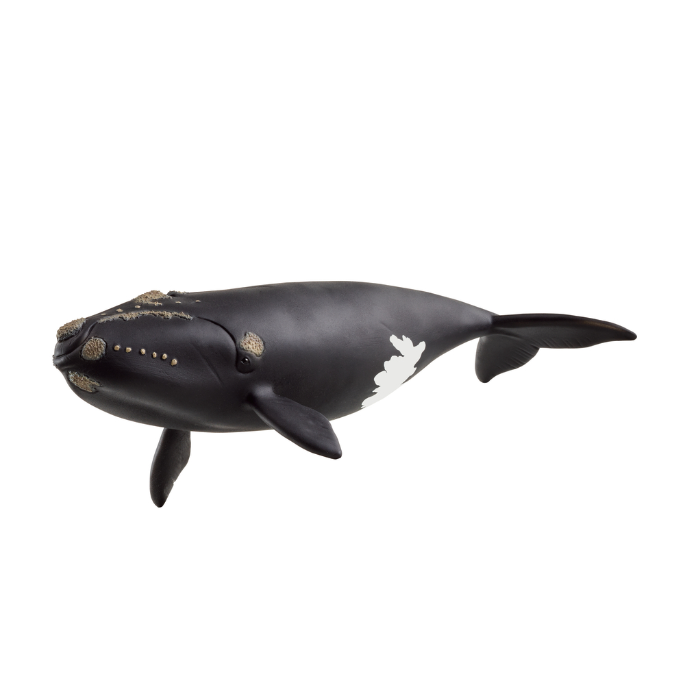Figurine de baleine de l'Atlantique - L.20cm
