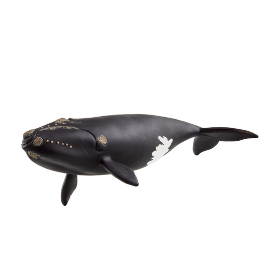 Figurine de baleine de l'Atlantique - L.20cm