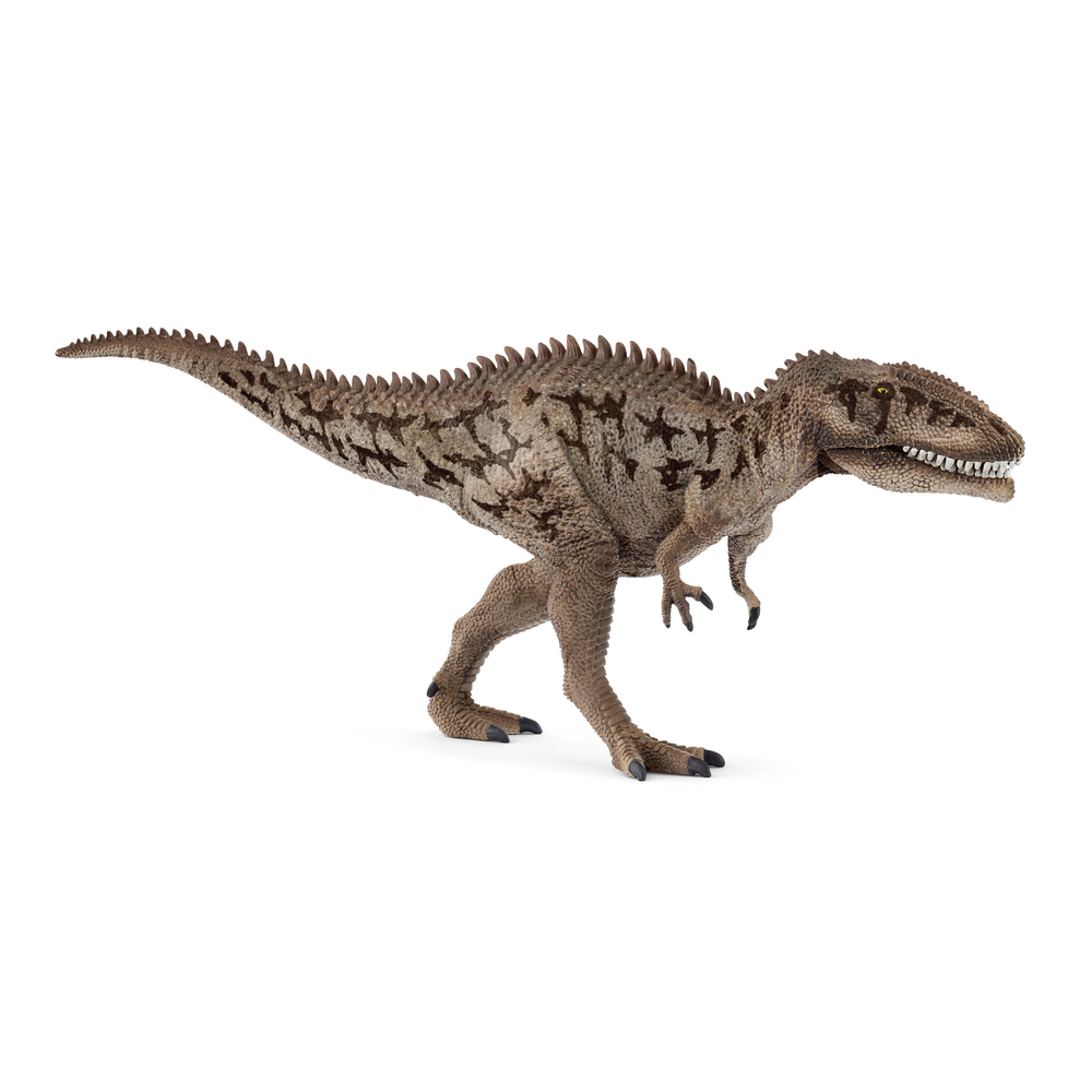 Figurine de carcharodontosaurus - L.32cm
