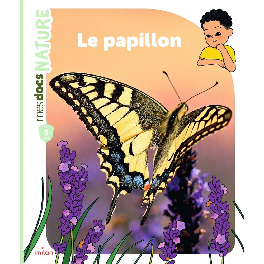 Livre pour enfant, mes docs nature : le papillon