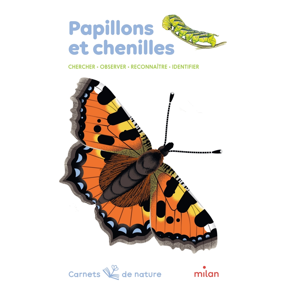 Livre pour enfant, papillons et chenilles
