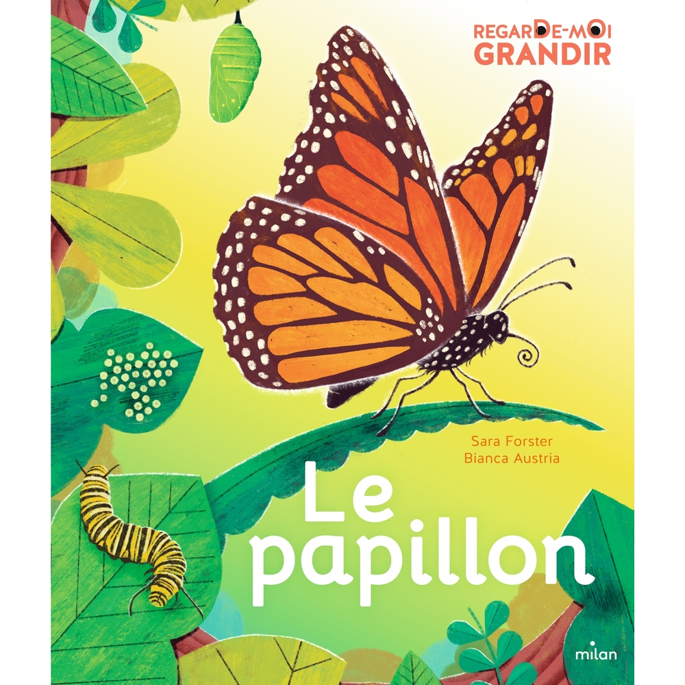 Livre pour enfant, regarde-moi grandir : le papillon