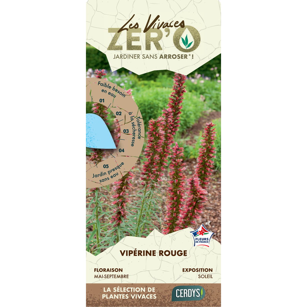 Viperine 'Red Feathers' : pot 1L