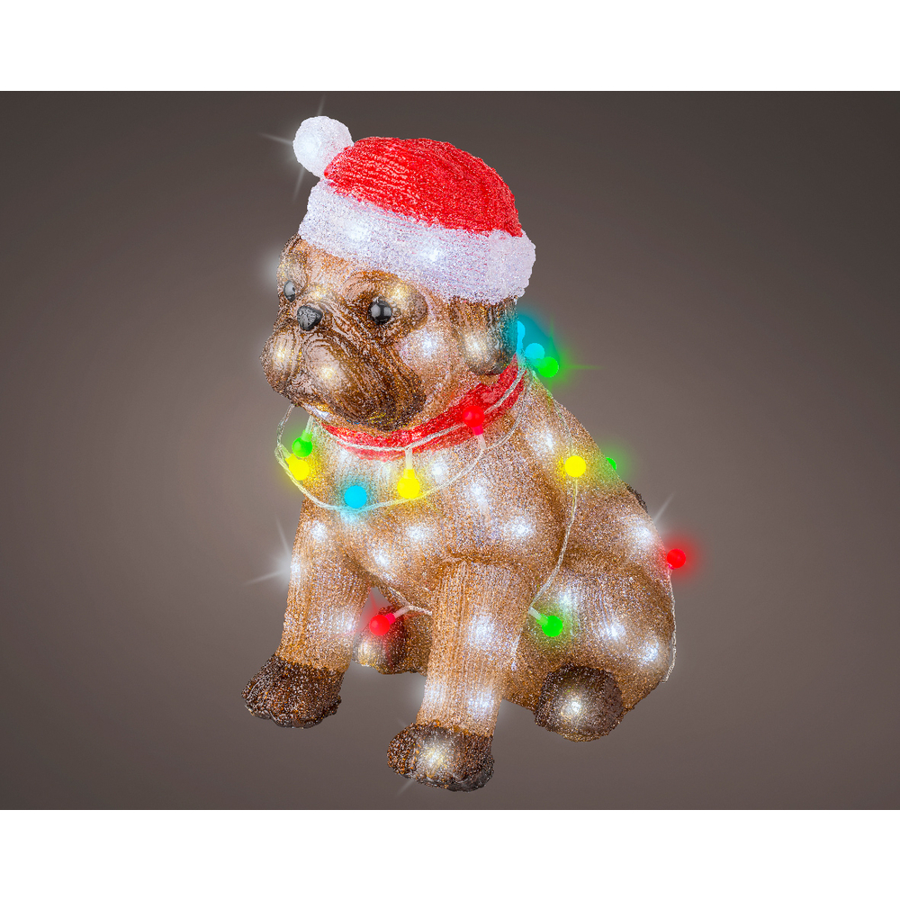 Bouledogue lumineux, LED blanche froide, coloris mixte - H.42cm